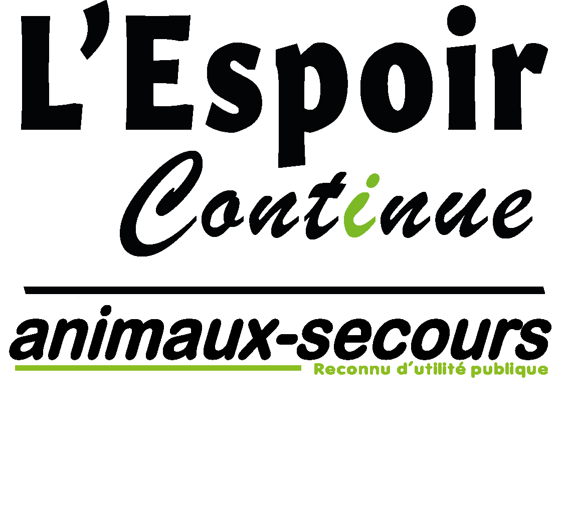 Label Max&Chipy Label Max&Chipy