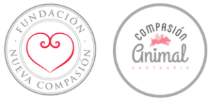 Refuge Max & Chipy Sanctuaire Compasiòn Animal