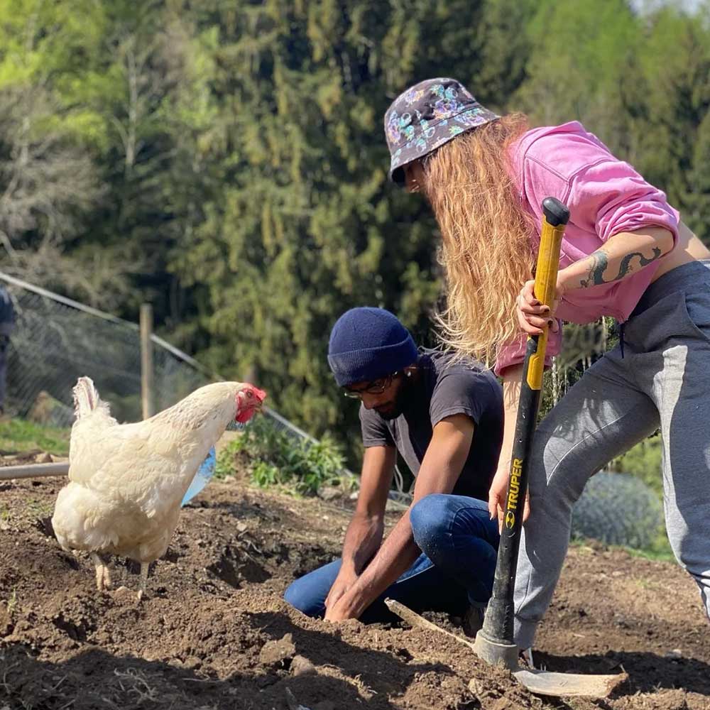 Refuge Max & Chipy Suisse