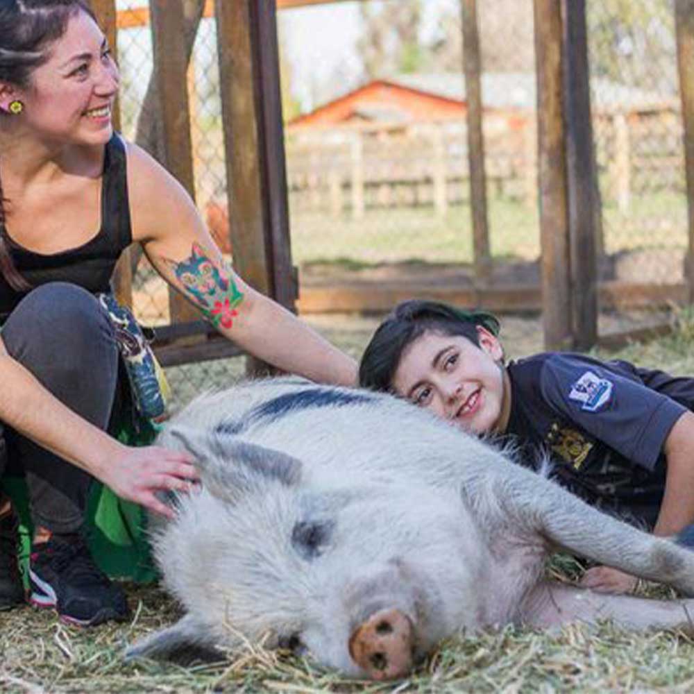 Refuge Max & Chipy Chili