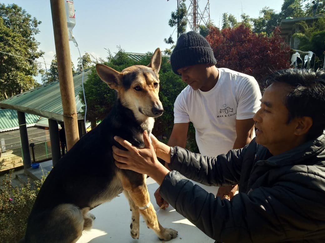 Refuge Max & Chipy Inde Refuge Max & Chipy Inde