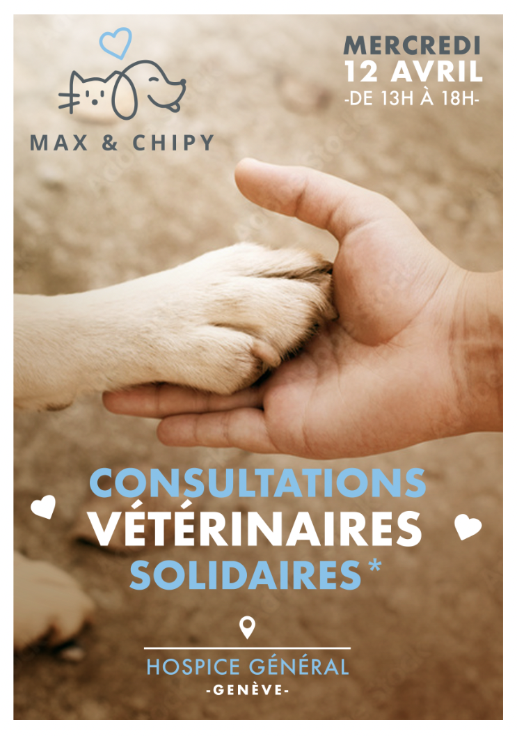 Nos premières consultation solidaires