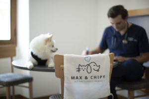 Nos premières consultation solidaires