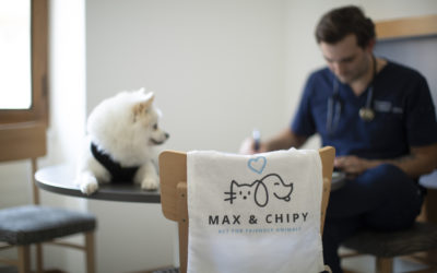 Nos premières consultation solidaires