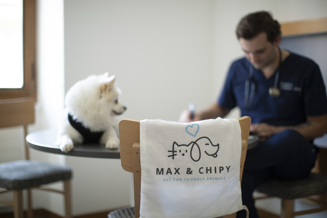 Nos premières consultation solidaires Nos premières consultation solidaires