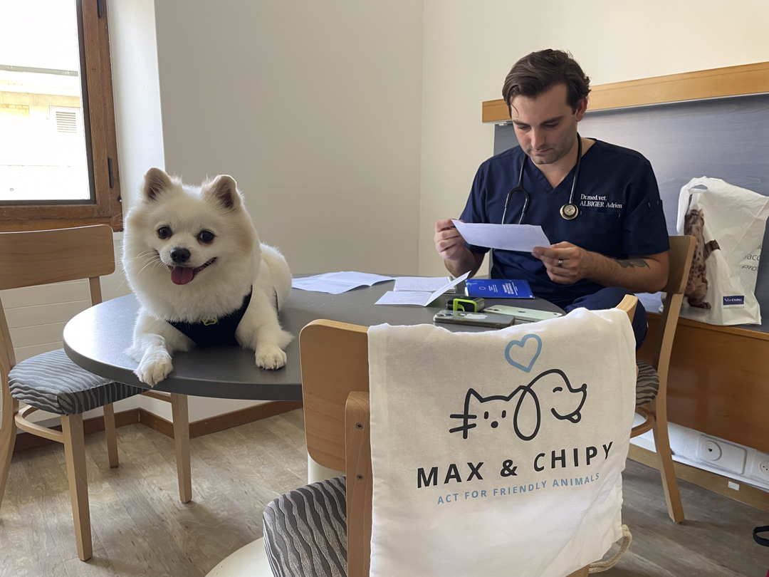 Nos premières consultation solidaires