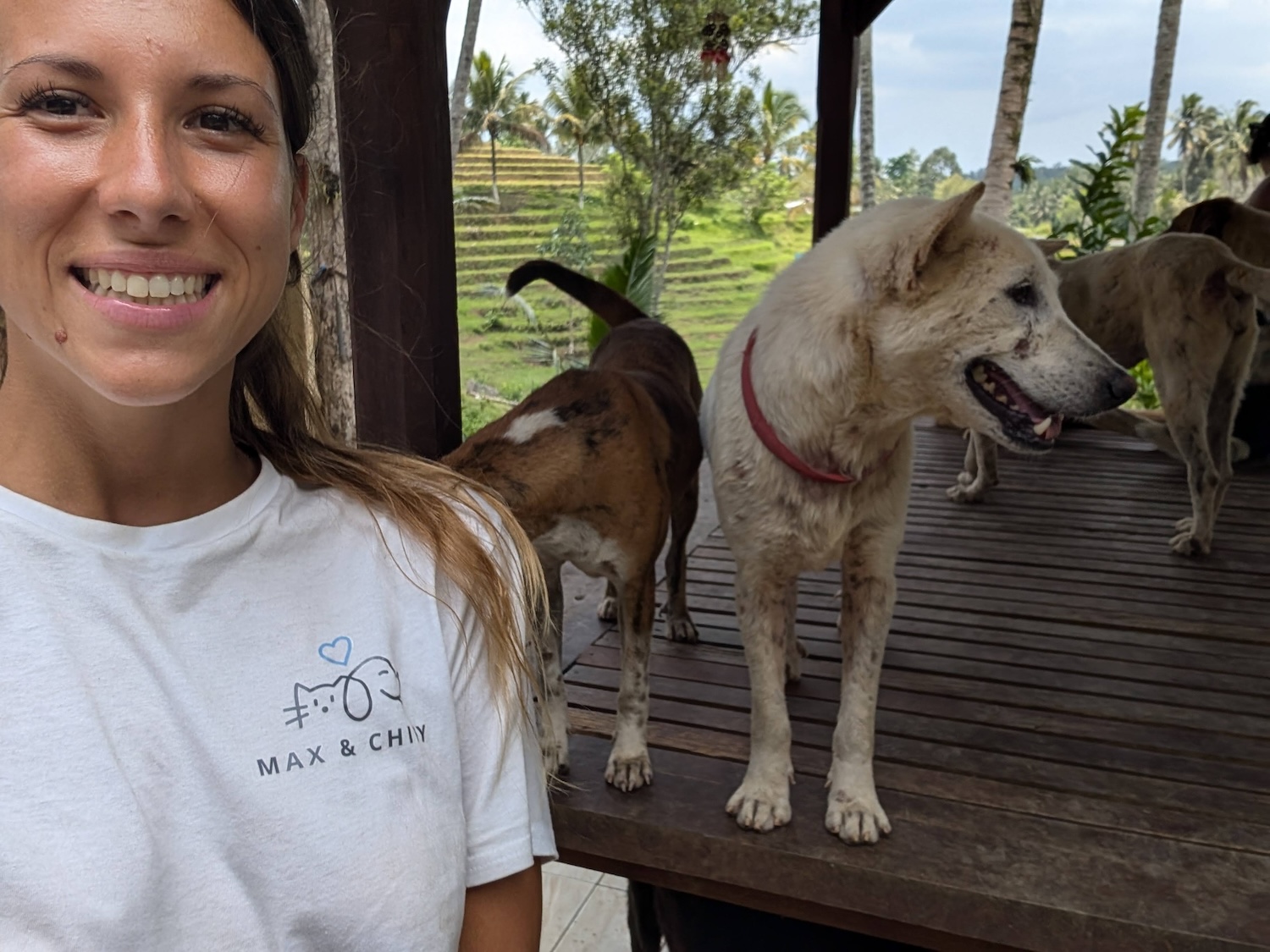 Ambassadeur Max&Chipy