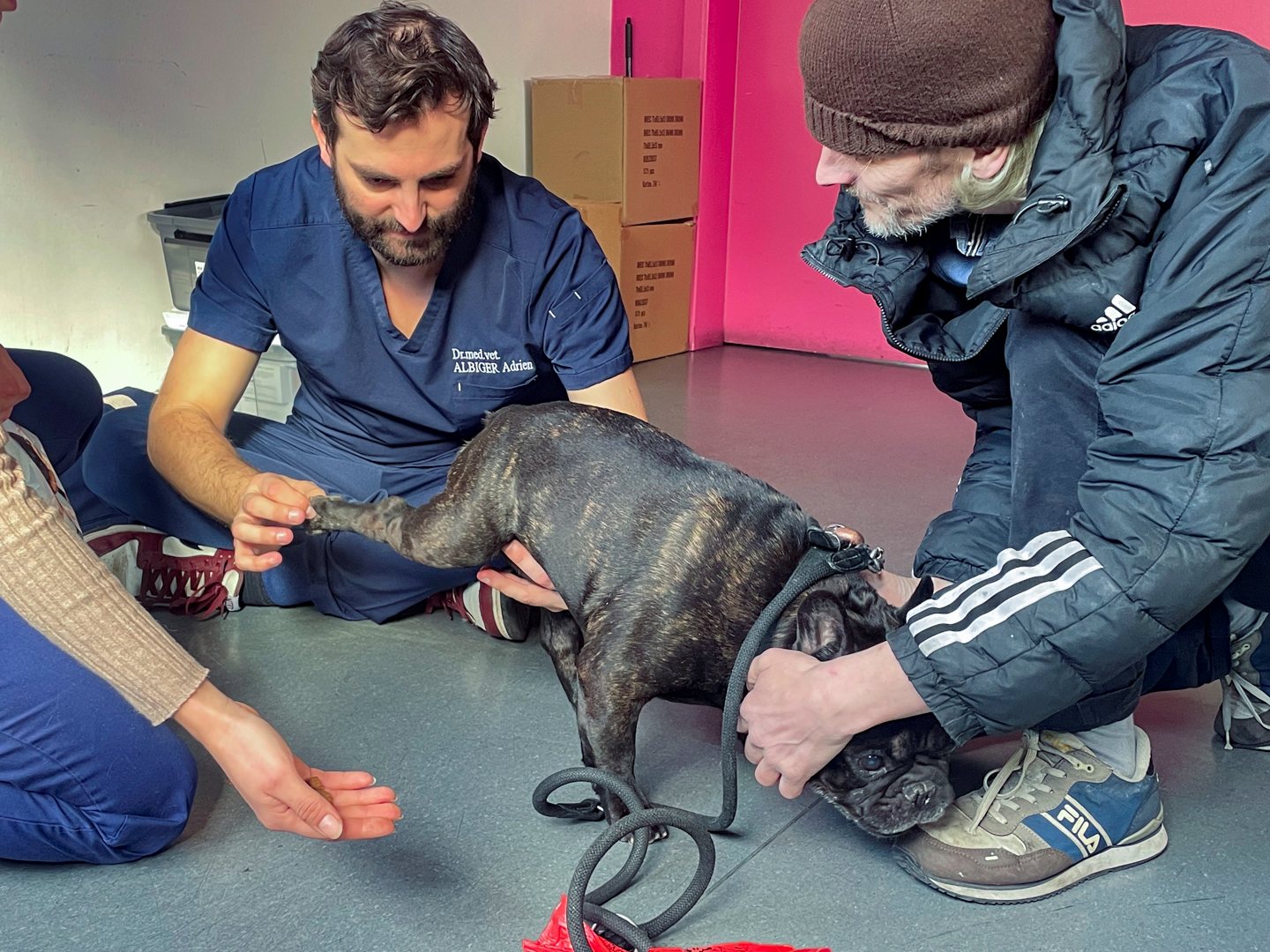 1-Max&Chipy_Consultations Solidaire_Fev 2025-5